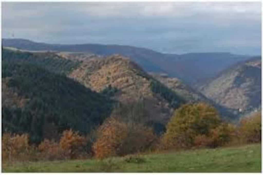 Champeix, Maison Confort 6 Personnes Ferienhaus *